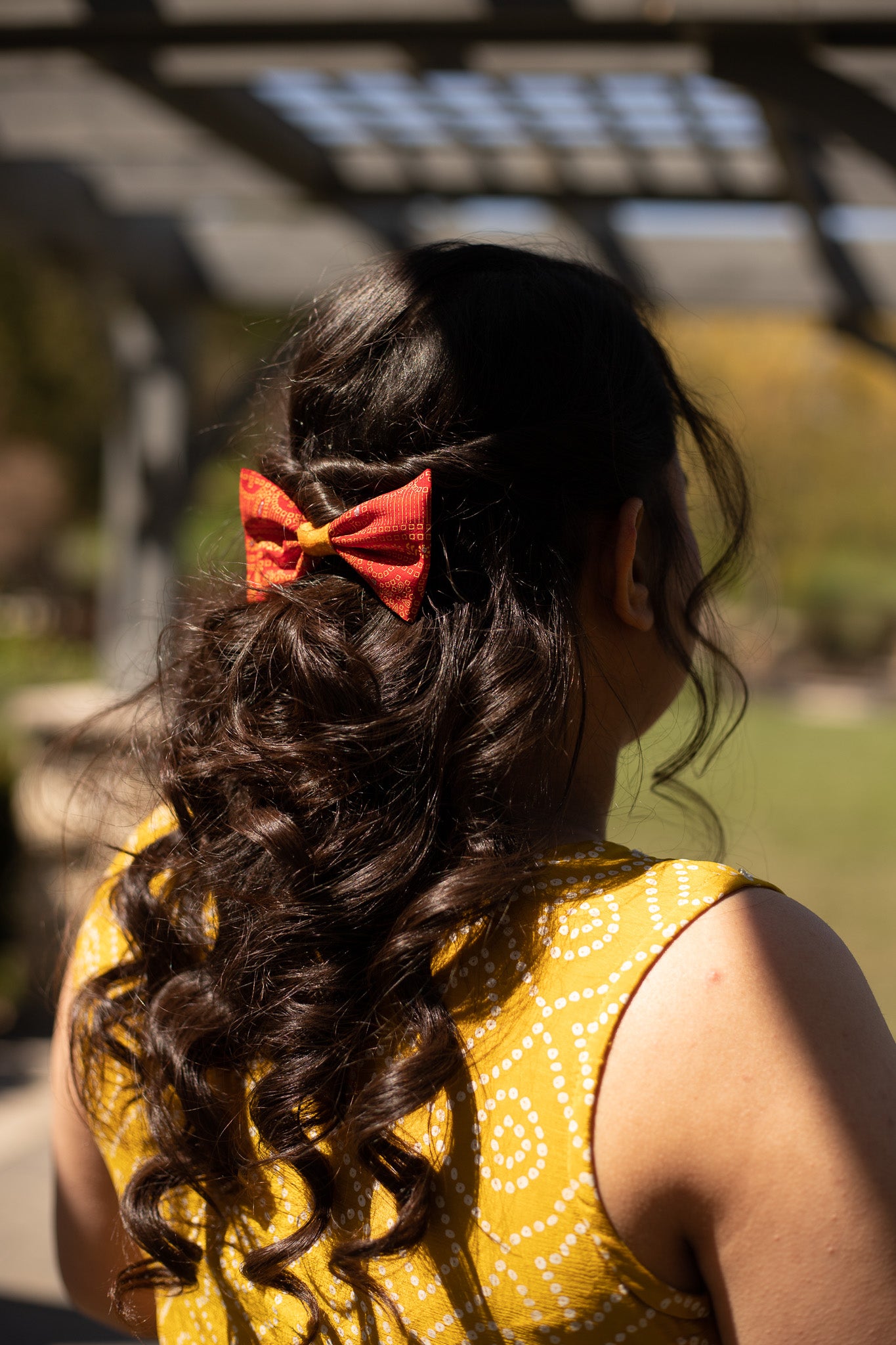 The Shri Bow