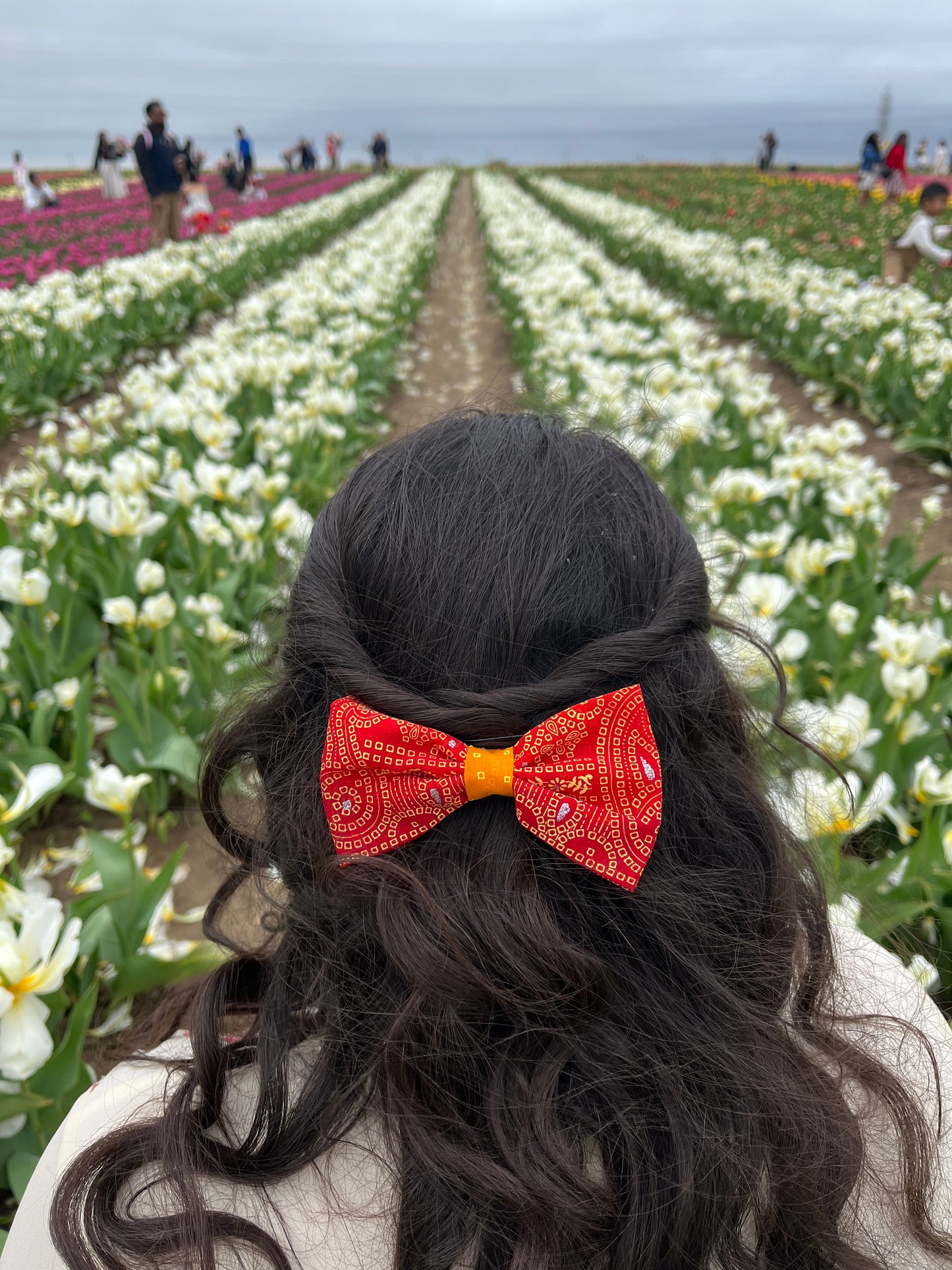 The Shri Bow