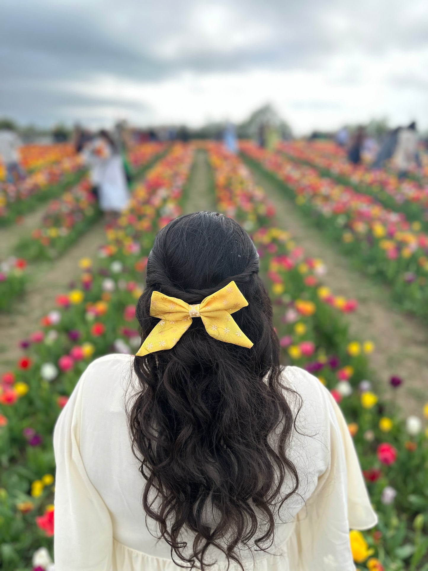 The Aamras Bow
