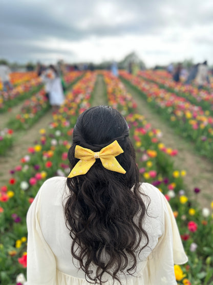 The Aamras Bow
