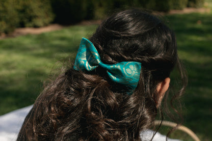 The Morni Bow