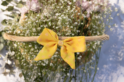 The Aamras Bow