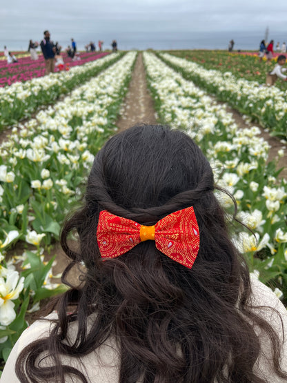 The Shri Bow